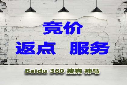 如何利用SEM提升品牌知名度——以某知名企业的成功经验为例